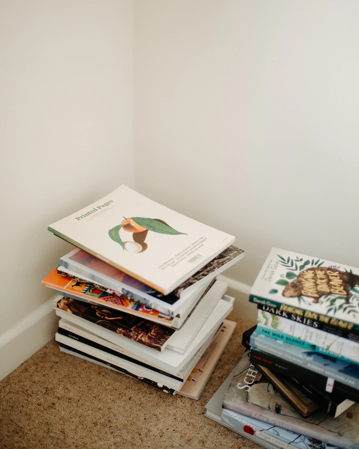 Pilhas de revistas no canto da sala