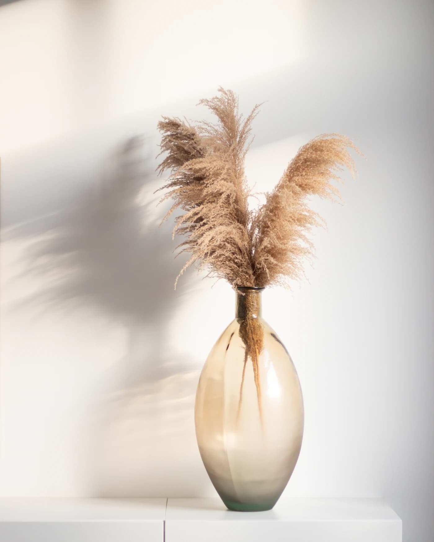 Vaso de vidro âmbar com capim-dos-pampas sob luz natural